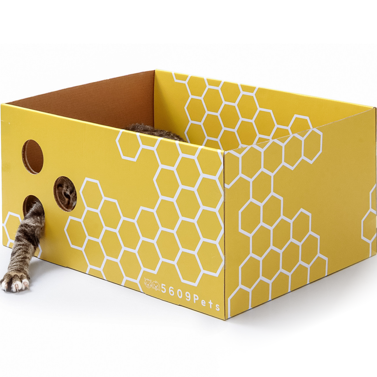 5609Pets - Extra Large Cat Scratcher Box